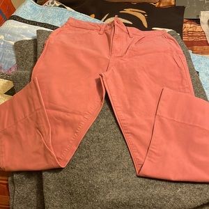 Tory Burch jeans, size 29” waist, 24” inseam in pale brick